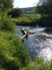 b_donau-bei-nendingen