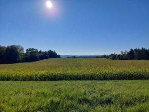 b_landschaft-beim-kloster-kirchberg