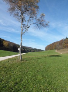 Eva Eckstein Radtour Lonsinger Tal    