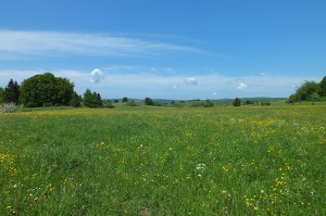 Eva Eckstein Radtour Bodensee    